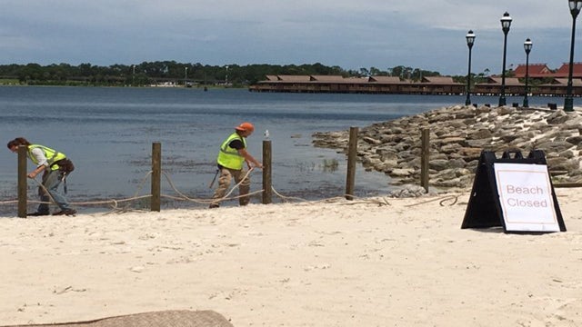 disney-beach7175902ver1-01280720.jpg 