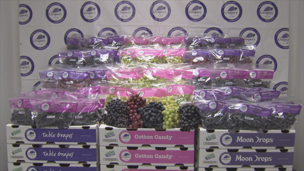 candy-grapes.png 