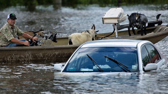 gettyimages-590202948.jpg 