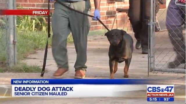 florida-dog-attack.jpg 