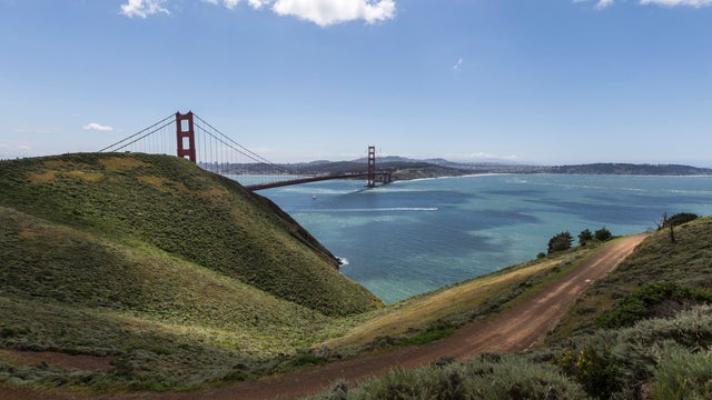 istock-95075723-large.jpg 