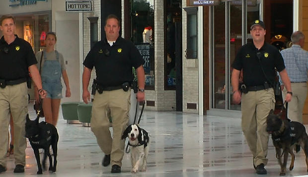 Mall Of America Bomb-Sniffing Dogs 2 