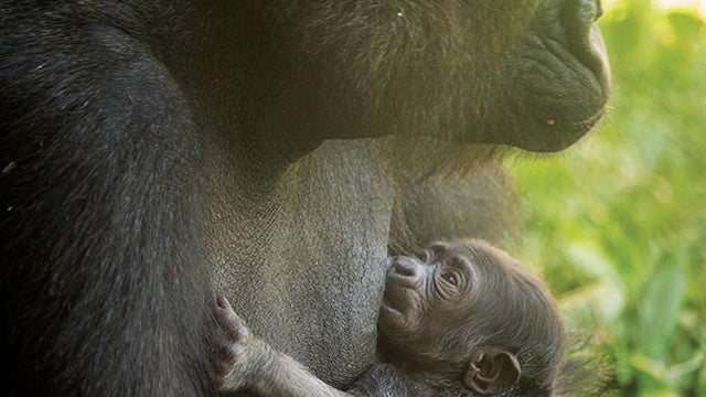 baby-8-312.jpg 