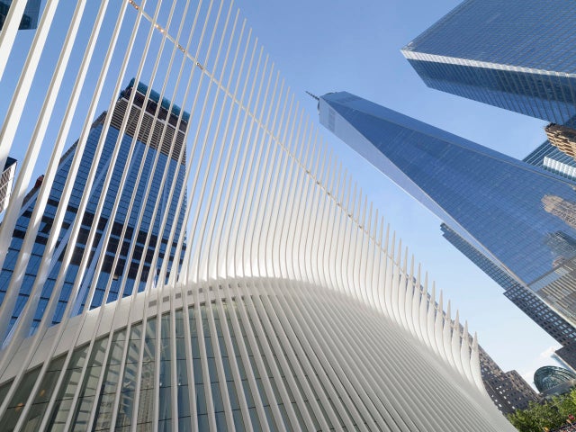 daniel-jones-wing-and-wtc-buildings.jpg 