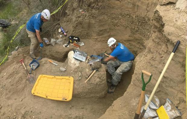 Santa Rosa mammoth excavation 