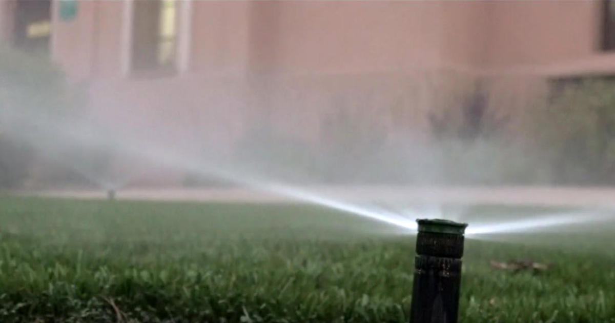 Amid California drought, Los Angeles water department waters fake grass