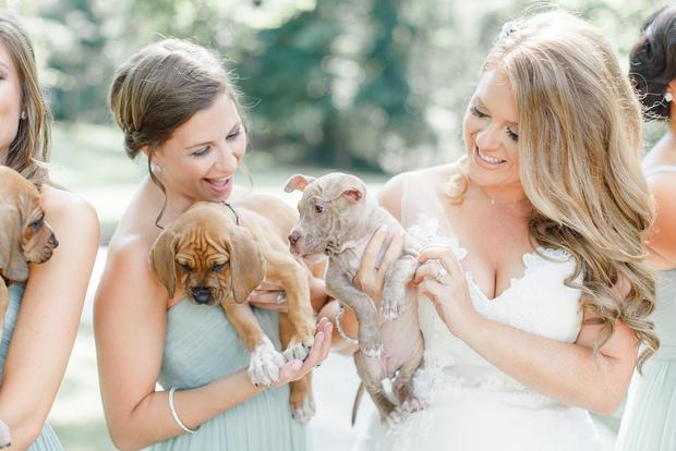 bride-puppy-bouquet 