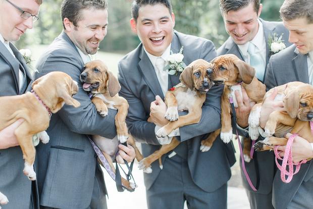 groomsmen-hold-dogs 