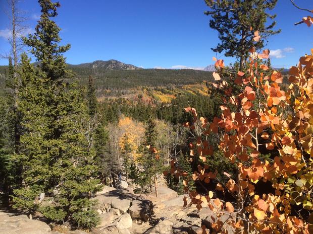 Colorado Fall Colors 2016 