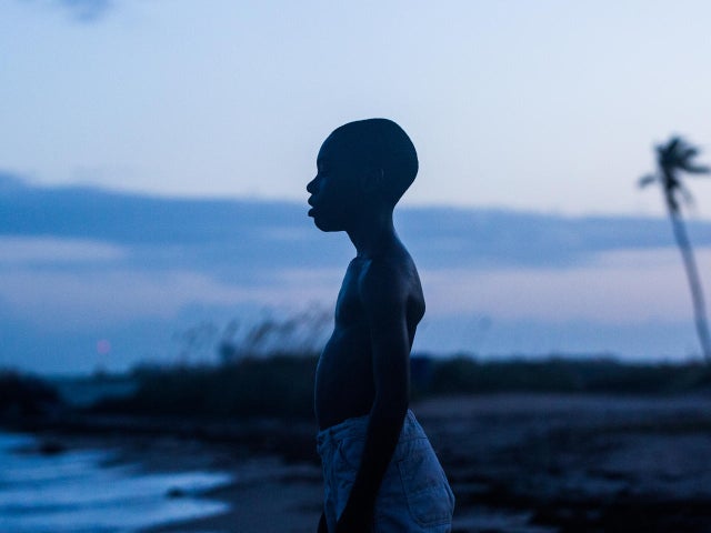 moonlight-david-bornfriend-a24-promo.jpg