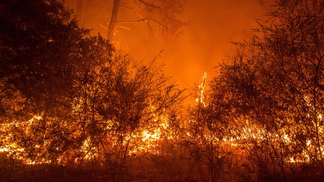 Fire churns up dried brush in the Santa Cruz Mountains near Loma Prieta, California, on Sept. 28, 2016. 