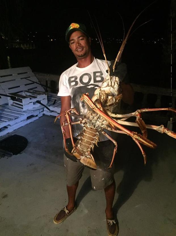 lobster2 