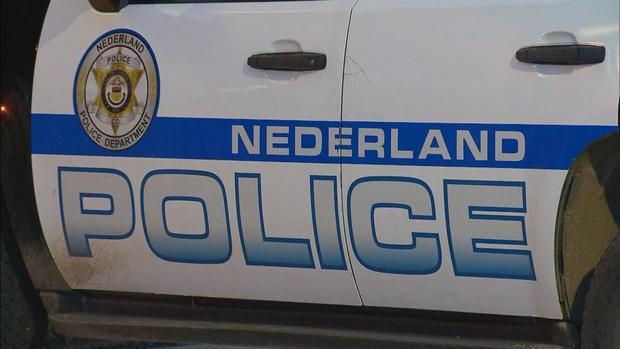 Nederland Police cruiser, badge 