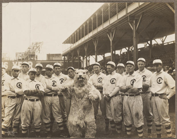 Chicago Cubs team with Cubs mascot 