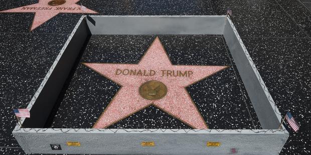 Trump Walk Of Fame Star Wall 