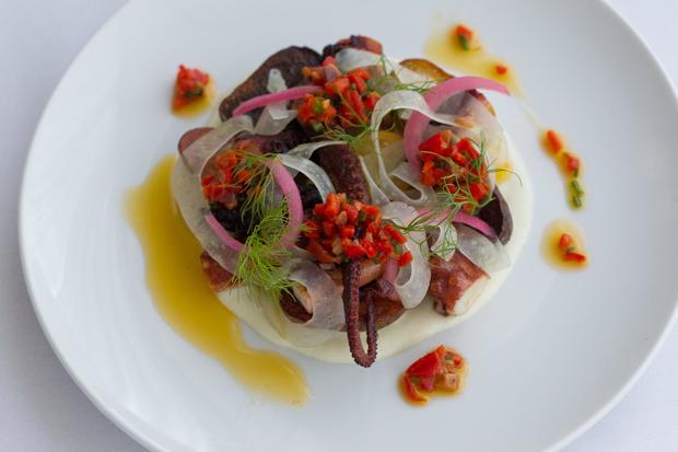 octopus-petrossian-antithesis-images 