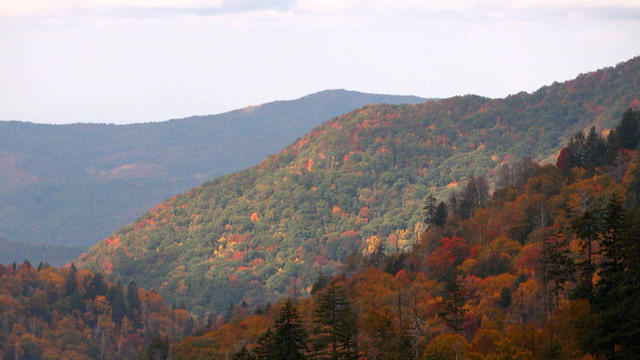 1028-ctm-smokymountainfoliage-1164410-640x360.jpg 