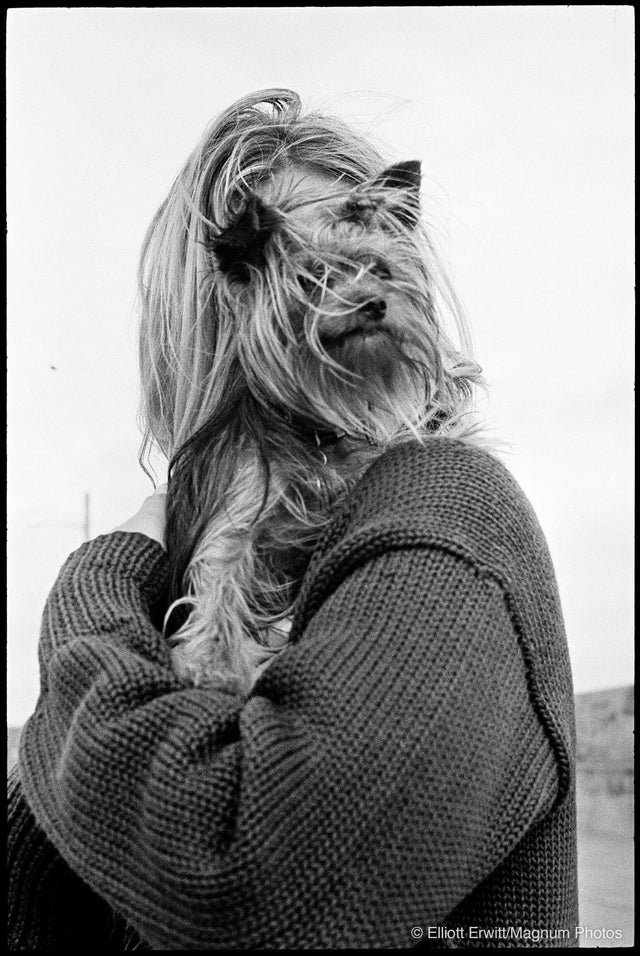 elliott-erwitt-wm.jpg