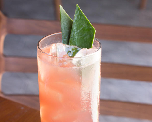 Kettle Black Bar - Verified-jalapen%cc%83o-infused-tequila-cherry-herring-pineapple-cordial-lime-1 