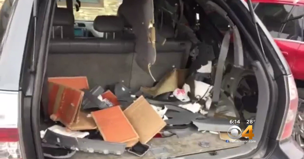 Bear gets stuck in SUV and destroys it while escaping CBS News