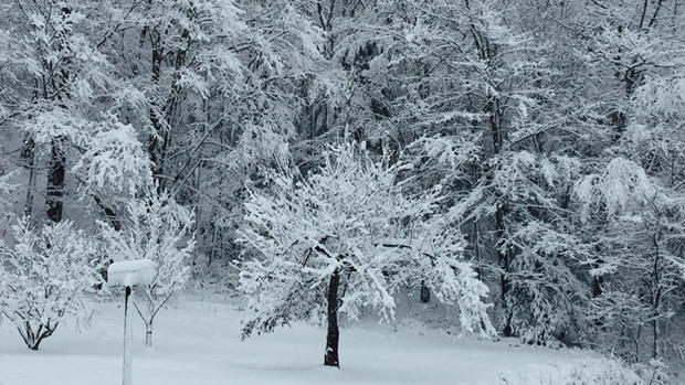 Snow In Richmondville, N.Y. 