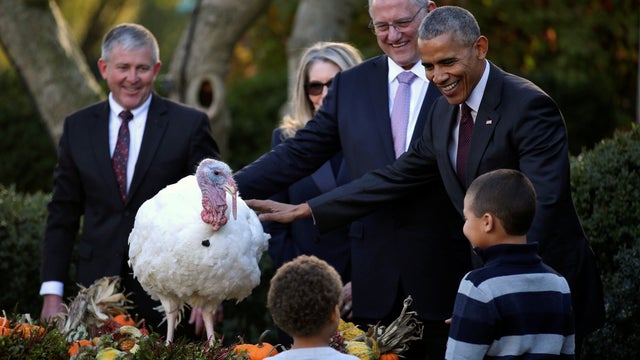 obama-turkey-pardoning-2016-2.jpg 