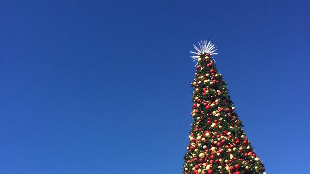holiday-tree-light-show.jpeg 