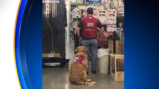 veteran-at-texas-lowes.jpg 