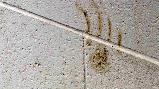 A bear&rsquo;s paw print is seen on a wall after a bear charged at an off-duty deputy in La Verne, California, on Dec. 13, 2016. 
