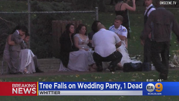 wedding-tragedy tree falls 