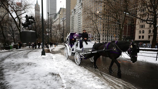 snownyc.jpg 