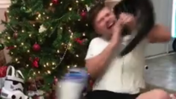 catattack.png 