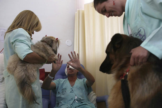 brazilian-therapy-dogs-6-2016-12-30.jpg 