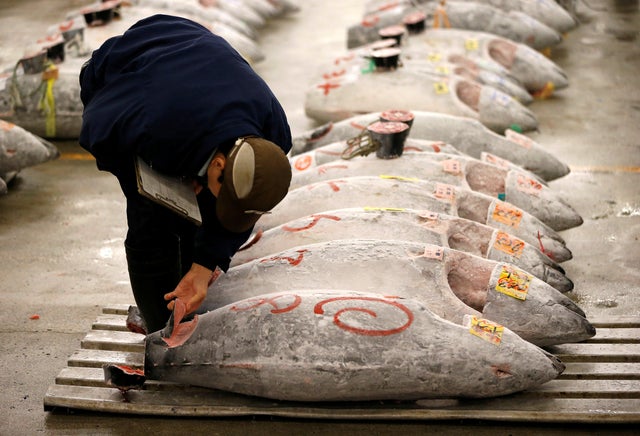 tokyo-tsukiji-tuna.jpg 