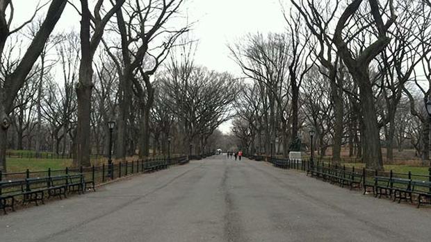 Central Park - File Photo 