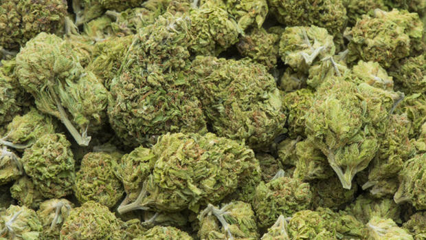 marijuana - weed 