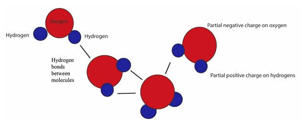 Nature up close: Water molecules - CBS News