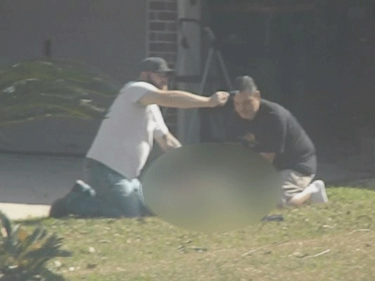 neighbors.gif