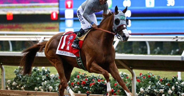 Pegasus World Cup Fans across U.S. gather for California Chrome's last