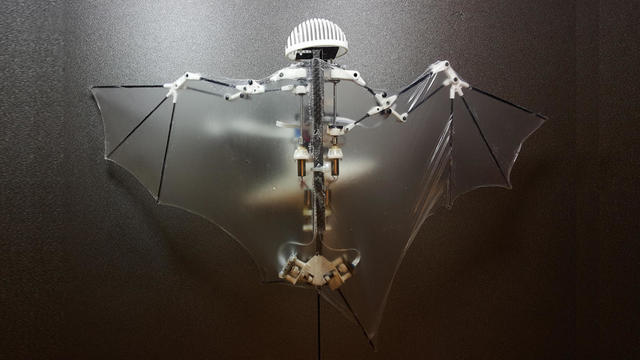 bat-drone.jpg 
