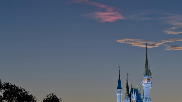 Walt Disney World Castle 