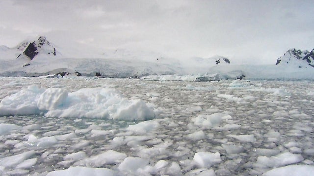 antarctica-promo.jpg 