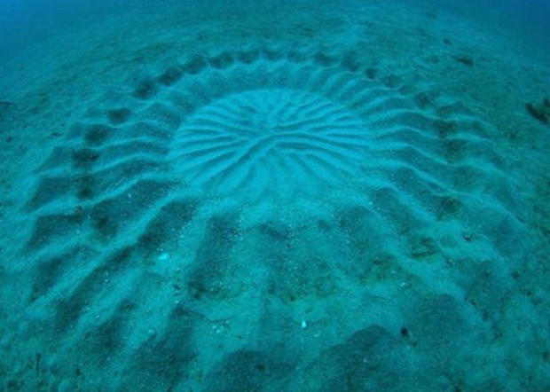 underwater-mystery-circle-1.jpg 