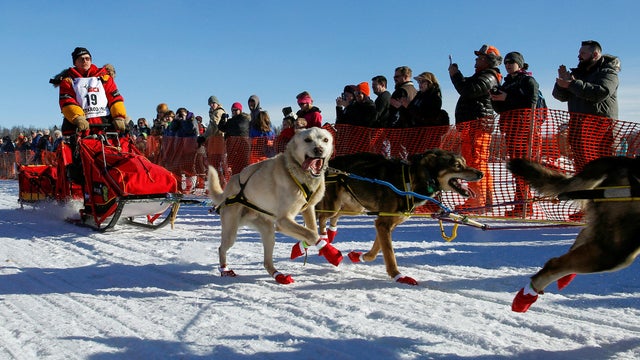 mitch-seavey-iditarod-2017-3-14.jpg 