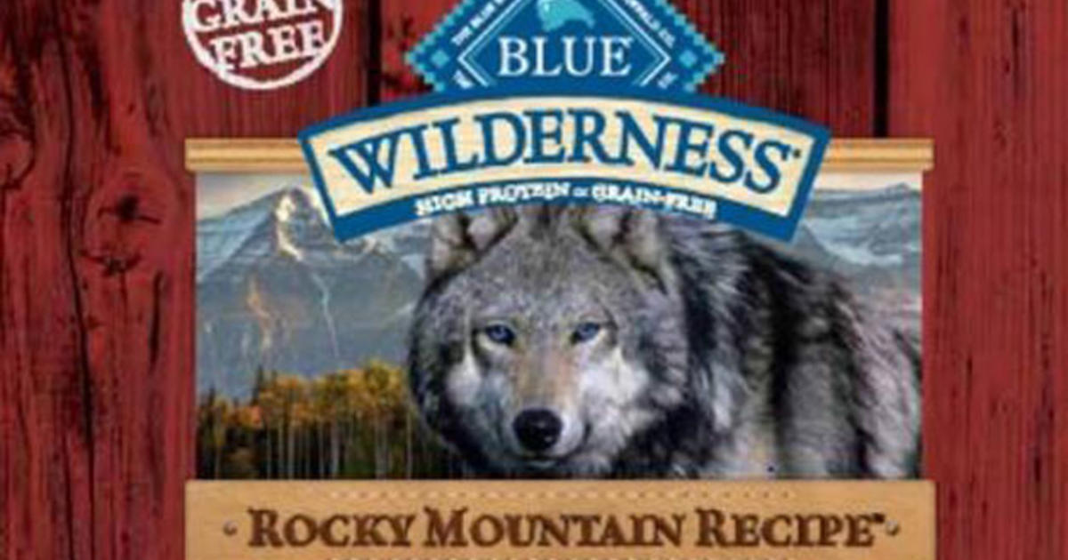 Blue Buffalo Recalls Wet Food That Could Make Dogs Sick CBS Boston