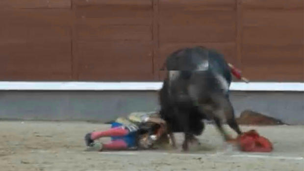 Stunning photos of Spain's bullfighters 