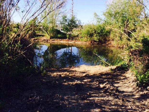 chino Hills wetlands 