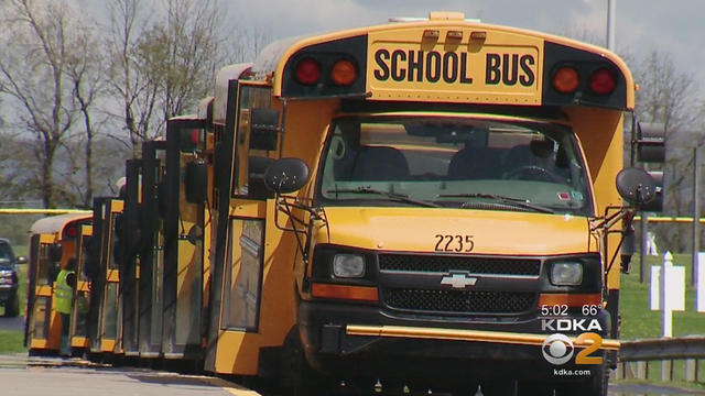 mt-pleasant-school-buses.jpg 
