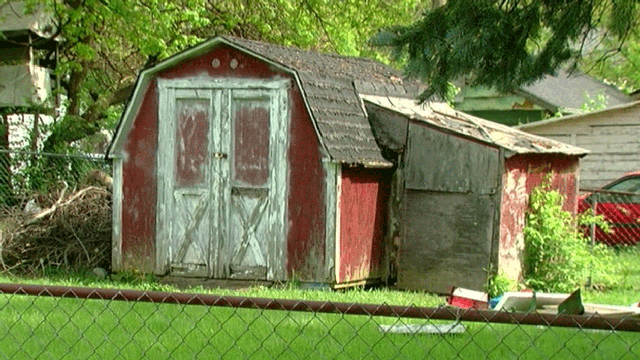 shed.gif 