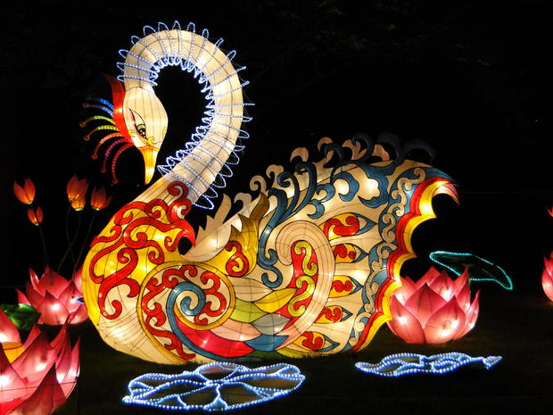 2017 Philadelphia Chinese Lantern Festival 